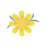 Blomma gul